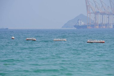 Nisan ayında Khor Fakkan Sahili 'ndeki Umman Körfezi sularındaki şamandıralarda terler ve martılar bulunur. Deniz kuşları, deniz kuşları, deniz ortamında hayata adapte olmuş kuşlardır. Khor Fakkan, Sharjah, BAE.                                