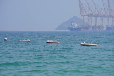 Nisan ayında Khor Fakkan Sahili 'ndeki Umman Körfezi sularındaki şamandıralarda terler ve martılar bulunur. Deniz kuşları, deniz kuşları, deniz ortamında hayata adapte olmuş kuşlardır. Khor Fakkan, Sharjah, BAE.                                