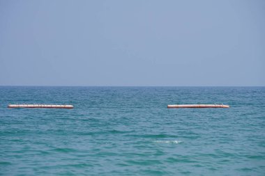 Nisan ayında Khor Fakkan Sahili 'ndeki Umman Körfezi sularındaki şamandıralarda terler ve martılar bulunur. Deniz kuşları, deniz kuşları, deniz ortamında hayata adapte olmuş kuşlardır. Khor Fakkan, Sharjah, BAE.                                