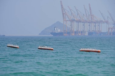 Nisan ayında Khor Fakkan Sahili 'ndeki Umman Körfezi sularındaki şamandıralarda terler ve martılar bulunur. Deniz kuşları, deniz kuşları, deniz ortamında hayata adapte olmuş kuşlardır. Khor Fakkan, Sharjah, BAE.                                