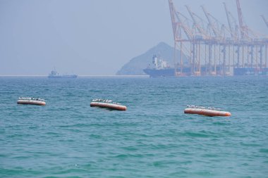 Nisan ayında Khor Fakkan Sahili 'ndeki Umman Körfezi sularındaki şamandıralarda terler ve martılar bulunur. Deniz kuşları, deniz kuşları, deniz ortamında hayata adapte olmuş kuşlardır. Khor Fakkan, Sharjah, BAE.                                