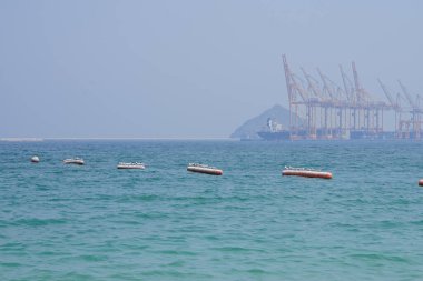 Nisan ayında Khor Fakkan Sahili 'ndeki Umman Körfezi sularındaki şamandıralarda terler ve martılar bulunur. Deniz kuşları, deniz kuşları, deniz ortamında hayata adapte olmuş kuşlardır. Khor Fakkan, Sharjah, BAE.                                
