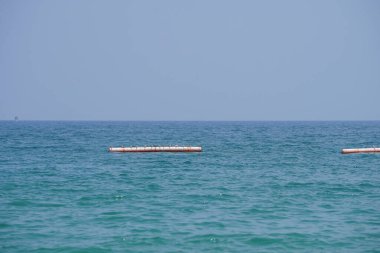 Nisan ayında Khor Fakkan Sahili 'ndeki Umman Körfezi sularındaki şamandıralarda terler ve martılar bulunur. Deniz kuşları, deniz kuşları, deniz ortamında hayata adapte olmuş kuşlardır. Khor Fakkan, Sharjah, BAE.                                   