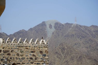 Bir kuş, Acridotheres tristis, Najd Al Miqsar 'ın eski köyünde taştan yapılmış dikdörtgen şeklinde bir kulede oturur. Acridotheres tristis, Sturnidae familyasından bir kuş türü. Wadi Wshee, Sharjah, BAE. 