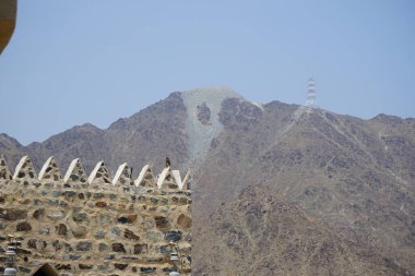 Bir kuş, Acridotheres tristis, Najd Al Miqsar 'ın eski köyünde taştan yapılmış dikdörtgen şeklinde bir kulede oturur. Acridotheres tristis, Sturnidae familyasından bir kuş türü. Wadi Wshee, Sharjah, BAE. 