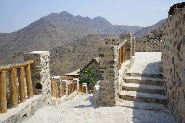 Nisan ayında Najd Al Miqsar köyünde meyveli Terminalia katappa ağacı yetişir. Terminalia catappa, badem, Hint bademi, Malabar bademi, deniz -, plaj bademi, sahte kamani, büyük bir tropikal ağaçtır. Wadi Wshee, Sharjah, BAE. 