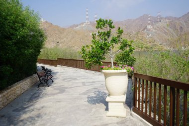 Al Rafisah Barajı 'ndaki Hawd al Bid' ah rezervuarı boyunca tropikal bitki örtüsüne sahip güzel açık bej vazolar yerleştirilmiştir. Wadi Wshee, Sharjah, BAE. 