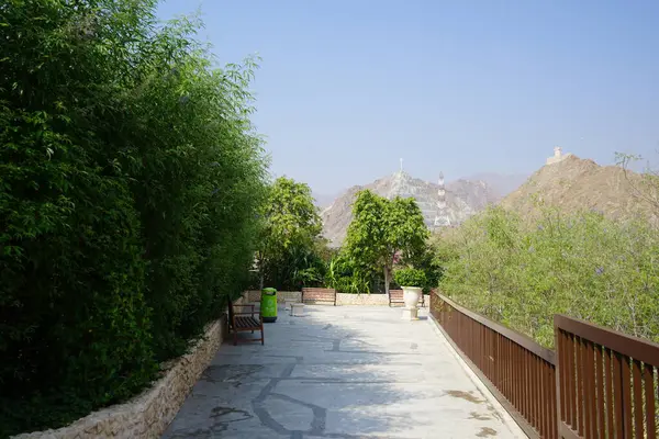 Al Rafisah Barajı 'ndaki Hawd al Bid' ah rezervuarı boyunca tropikal bitki örtüsüne sahip güzel açık bej vazolar yerleştirilmiştir. Wadi Wshee, Sharjah, BAE. 