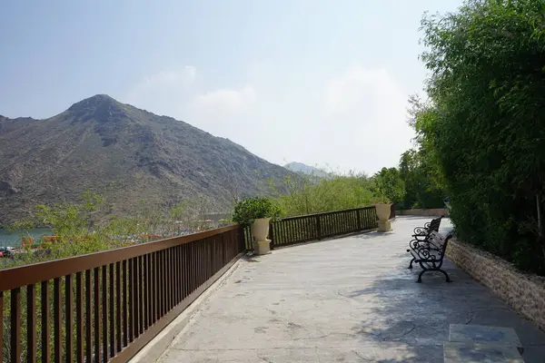 Al Rafisah Barajı 'ndaki Hawd al Bid' ah rezervuarı boyunca tropikal bitki örtüsüne sahip güzel açık bej vazolar yerleştirilmiştir. Wadi Wshee, Sharjah, BAE.