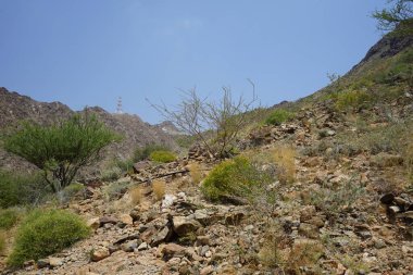 El Rafisah Barajı 'ndaki Hawd al Bid' ah rezervuarının çevresinde güzel bir dağ manzarası bulunur. Wadi Wshee, Sharjah, BAE. 