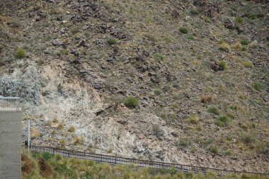 Kara kısmen evcilleştirilmiş dağ keçileri, Capra aegagrus hircus, Al Rafisah Barajı 'ndaki Hawd al Bid' ah rezervuarının yakınındaki dağlarda gezinir. Wadi Wshee, Sharjah, BAE.
