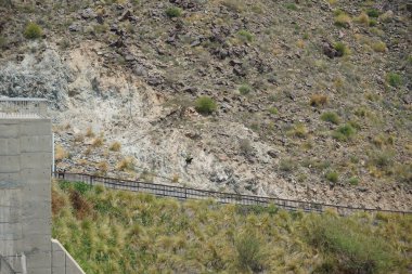 Kara kısmen evcilleştirilmiş dağ keçileri, Capra aegagrus hircus, Al Rafisah Barajı 'ndaki Hawd al Bid' ah rezervuarının yakınındaki dağlarda gezinir. Wadi Wshee, Sharjah, BAE.