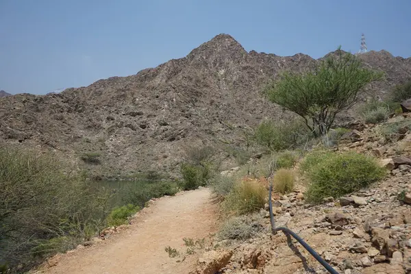 El Rafisah Barajı 'ndaki Hawd al Bid' ah rezervuarının çevresinde güzel bir dağ manzarası bulunur. Wadi Wshee, Sharjah, BAE. 