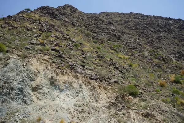 Kara kısmen evcilleştirilmiş dağ keçileri, Capra aegagrus hircus, Al Rafisah Barajı 'ndaki Hawd al Bid' ah rezervuarının yakınındaki dağlarda gezinir. Wadi Wshee, Sharjah, BAE.