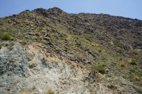 Kara kısmen evcilleştirilmiş dağ keçileri, Capra aegagrus hircus, Al Rafisah Barajı 'ndaki Hawd al Bid' ah rezervuarının yakınındaki dağlarda gezinir. Wadi Wshee, Sharjah, BAE.