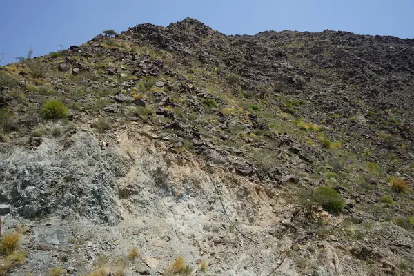 Kara kısmen evcilleştirilmiş dağ keçileri, Capra aegagrus hircus, Al Rafisah Barajı 'ndaki Hawd al Bid' ah rezervuarının yakınındaki dağlarda gezinir. Wadi Wshee, Sharjah, BAE.