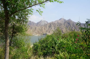 Nisan ayında El Rafisah Barajı 'ndaki tropikal bitki örtüsüyle birlikte, Hawd al Bid' ah rezervuarının manzarası. Wadi Wshee, Sharjah, BAE. 