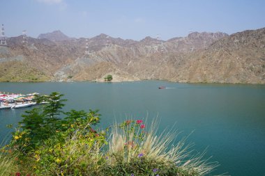 Al-Bid 'ah rezervuarı ve Al-Rafisah Barajı' ndaki Nisan ayındaki bitki örtüsü ile pitoresk bir sahilden Al-Khor Kayık tekne istasyonu manzarası. Wadi Wshee, Sharjah, BAE. 