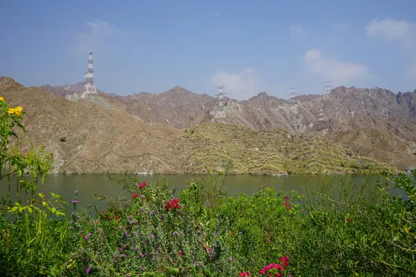 Nisan ayında El Rafisah Barajı 'ndaki tropikal bitki örtüsüyle birlikte, Hawd al Bid' ah rezervuarının manzarası. Wadi Wshee, Sharjah, BAE. 