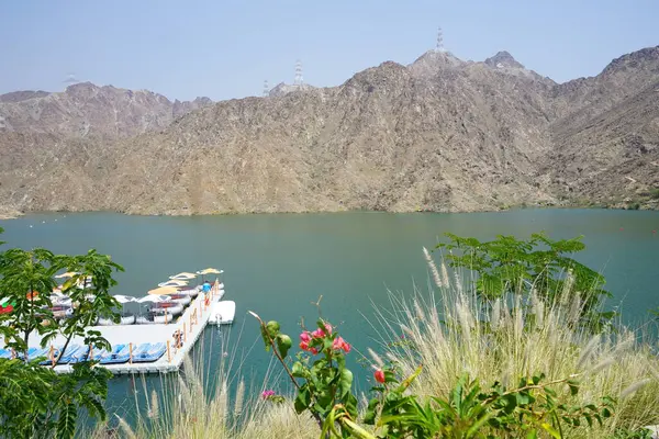 Al-Bid 'ah rezervuarı ve Al-Rafisah Barajı' ndaki Nisan ayındaki bitki örtüsü ile pitoresk bir sahilden Al-Khor Kayık tekne istasyonu manzarası. Wadi Wshee, Sharjah, BAE. 