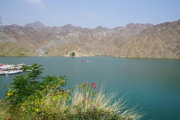 Al-Bid 'ah rezervuarı ve Al-Rafisah Barajı' ndaki Nisan ayındaki bitki örtüsü ile pitoresk bir sahilden Al-Khor Kayık tekne istasyonu manzarası. Wadi Wshee, Sharjah, BAE. 