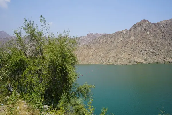 Nisan ayında El Rafisah Barajı 'ndaki tropikal bitki örtüsüyle birlikte, Hawd al Bid' ah rezervuarının manzarası. Wadi Wshee, Sharjah, BAE. 