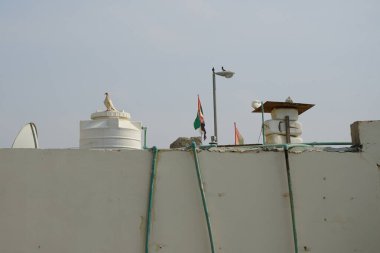 Columba Livia güvercinleri Nisan ayında Khor Fakkan 'da bir binanın çatısında otururlar. Kaya güvercini, Columba livya, Columbidae kuş familyasının bir üyesidir. Sharjah, BAE.                                