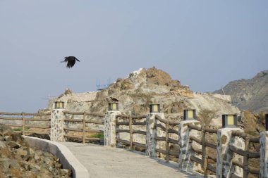 Corvus 'un görkemli kuşları Khor Fakkan' daki Al Adwani Kulesi civarında bulunur. Ev kargası, Corvus splendens, karga familyasının yaygın bir kuşudur. Sharjah, BAE.                               