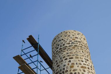 Corvus 'un görkemli kuşları Khor Fakkan' daki Al Adwani Kulesi civarında bulunur. Ev kargası, Corvus splendens, karga familyasının yaygın bir kuşudur. Sharjah, BAE.                                