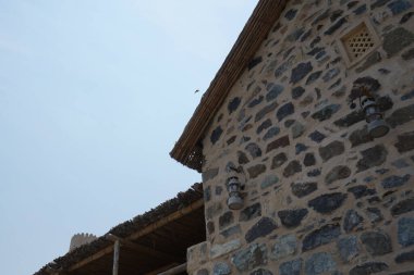 Bir Acridotheres tristis kuşu eski Najd Al Miqsar köyünün üzerinde gökyüzünde uçuyor. Acridotheres tristis, Sturnidae familyasından bir kuş türü. Wadi Wshee, Sharjah, BAE.                                