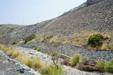 Nisan 'da Al Rafisah Barajı' ndan geçen kurumuş kayalık nehir yatağını görüyoruz. Wadi Wshee, Sharjah, BAE. 
