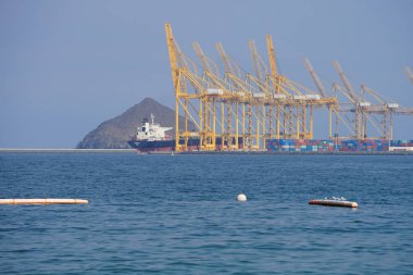 Nisan ayında Khor Fakkan Sahili 'ndeki Umman Körfezi sularındaki şamandıralarda terler ve martılar bulunur. Deniz kuşları, deniz kuşları, deniz ortamında hayata adapte olmuş kuşlardır. Khor Fakkan, Sharjah, BAE.