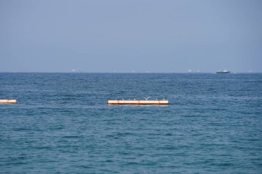 Nisan ayında Khor Fakkan Sahili 'ndeki Umman Körfezi sularındaki şamandıralarda terler ve martılar bulunur. Deniz kuşları, deniz kuşları, deniz ortamında hayata adapte olmuş kuşlardır. Khor Fakkan, Sharjah, BAE.