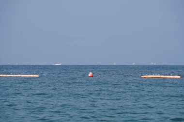 Nisan ayında Khor Fakkan Sahili 'ndeki Umman Körfezi sularındaki şamandıralarda terler ve martılar bulunur. Deniz kuşları, deniz kuşları, deniz ortamında hayata adapte olmuş kuşlardır. Khor Fakkan, Sharjah, BAE. 