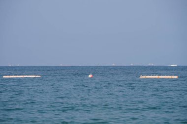 Nisan ayında Khor Fakkan Sahili 'ndeki Umman Körfezi sularındaki şamandıralarda terler ve martılar bulunur. Deniz kuşları, deniz kuşları, deniz ortamında hayata adapte olmuş kuşlardır. Khor Fakkan, Sharjah, BAE. 