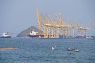 Nisan ayında Khor Fakkan Sahili 'ndeki Umman Körfezi sularındaki şamandıralarda terler ve martılar bulunur. Deniz kuşları, deniz kuşları, deniz ortamında hayata adapte olmuş kuşlardır. Khor Fakkan, Sharjah, BAE. 