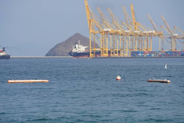 Nisan ayında Khor Fakkan Sahili 'ndeki Umman Körfezi sularındaki şamandıralarda terler ve martılar bulunur. Deniz kuşları, deniz kuşları, deniz ortamında hayata adapte olmuş kuşlardır. Khor Fakkan, Sharjah, BAE. 
