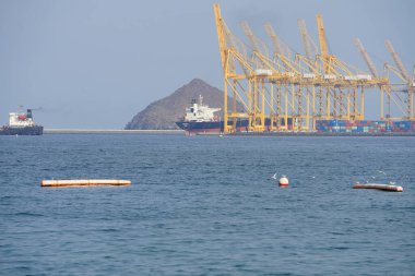Nisan ayında Khor Fakkan Sahili 'ndeki Umman Körfezi sularındaki şamandıralarda terler ve martılar bulunur. Deniz kuşları, deniz kuşları, deniz ortamında hayata adapte olmuş kuşlardır. Khor Fakkan, Sharjah, BAE. 