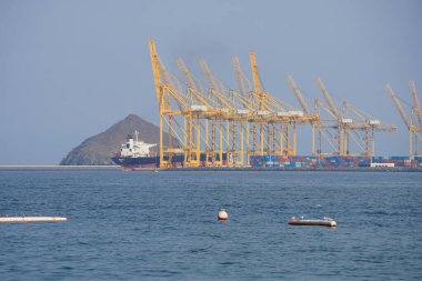 Nisan ayında Khor Fakkan Sahili 'ndeki Umman Körfezi sularındaki şamandıralarda terler ve martılar bulunur. Deniz kuşları, deniz kuşları, deniz ortamında hayata adapte olmuş kuşlardır. Khor Fakkan, Sharjah, BAE. 