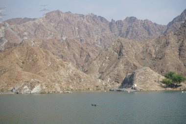 Ördekler, Al Rafisah Barajı dinlenme alanındaki Hawd al Bid 'ah rezervuarının suyunda yüzerler. Ördek, Anatidae familyasındaki birçok su kuşunun yaygın adıdır. Wadi Wshee, Sharjah, BAE.                               