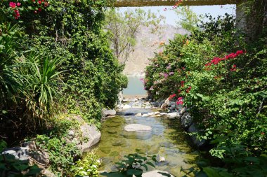 Su Baharı, El Rafisah Barajı dinlenme alanındaki Hawd al Bid 'ah rezervuarının yakınındaki çiçek açan bitki örtüsü arasında kayalık bir yatak boyunca akar. Wadi Wshee, Sharjah, BAE. 