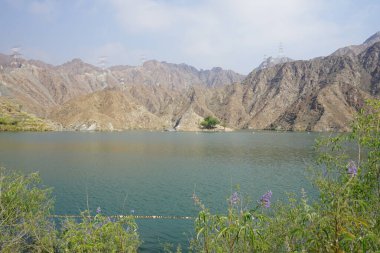 Vitex agnus-castus ve diğer bitkiler Nisan ayında Hawd al Bid 'ah rezervuarının kıyısında yetişir. Vitex agnus-castus, vitex, iffetli ağaç ya da Chastetree, chasteberry, Abraham 'ın merhemi bir bitkidir. Wadi Wshee, Sharjah, BAE. 