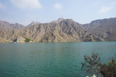 Ördekler, Al Rafisah Barajı dinlenme alanındaki Hawd al Bid 'ah rezervuarının suyunda yüzerler. Ördek, Anatidae familyasındaki birçok su kuşunun yaygın adıdır. Wadi Wshee, Sharjah, BAE.             