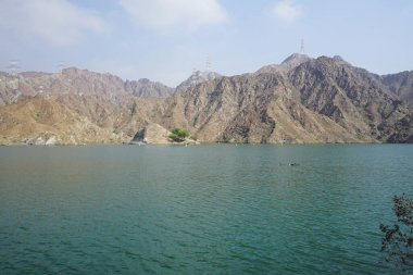 Ördekler, Al Rafisah Barajı dinlenme alanındaki Hawd al Bid 'ah rezervuarının suyunda yüzerler. Ördek, Anatidae familyasındaki birçok su kuşunun yaygın adıdır. Wadi Wshee, Sharjah, BAE.             