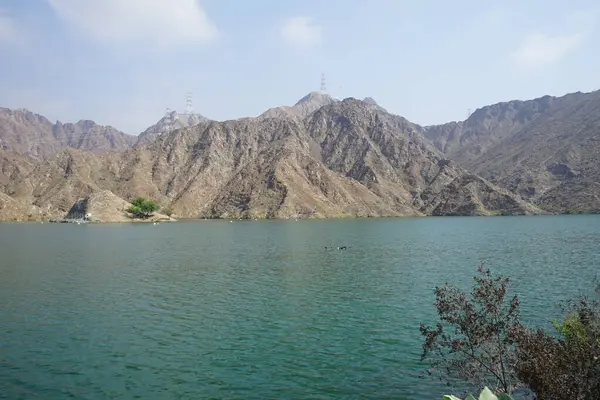 Ördekler, Al Rafisah Barajı dinlenme alanındaki Hawd al Bid 'ah rezervuarının suyunda yüzerler. Ördek, Anatidae familyasındaki birçok su kuşunun yaygın adıdır. Wadi Wshee, Sharjah, BAE.             