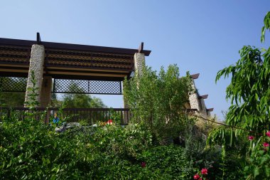 Nisan ayında Al Rafisah Barajı dinlenme alanında Bougainvillea glabra çiçek açar. Bougainvillea glabra, kartonpiyergiller (Bougainvillea) familyasından bir glabra türü. Wadi Wshee, Sharjah, BAE.