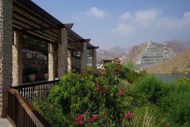 Vitex agnus-castus, Tecoma stans, Bougainvillea glabra ve diğer bitkiler Nisan ayında Hawd al Bid 'ah rezervuarının kıyısında yetişir. Vitex agnus-castus, vitex, iffetli ağaç veya Chastetree bir bitkidir. Wadi Wshee, Sharjah, BAE.