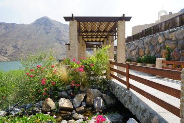 Su Baharı, El Rafisah Barajı dinlenme alanındaki Hawd al Bid 'ah rezervuarının yakınındaki çiçek açan bitki örtüsü arasında kayalık bir yatak boyunca akar. Wadi Wshee, Sharjah, BAE. 