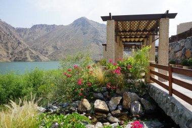 Su Baharı, El Rafisah Barajı dinlenme alanındaki Hawd al Bid 'ah rezervuarının yakınındaki çiçek açan bitki örtüsü arasında kayalık bir yatak boyunca akar. Wadi Wshee, Sharjah, BAE. 