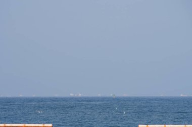 Nisan ayında Khor Fakkan Sahili 'ndeki Umman Körfezi' nin üzerinden ternler ve martılar uçar. Deniz kuşları, deniz kuşları, deniz ortamında hayata adapte olmuş kuşlardır. Khor Fakkan, Sharjah, BAE.                               